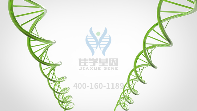 【佳學(xué)基因檢測】小頭畸形骨發(fā)育不全原始侏儒癥基因解碼、<a href=http://www.lag888.cn/tk/jiema/cexujishu/2021/31933.html>基因檢測</a>報告時間是一樣的嗎？