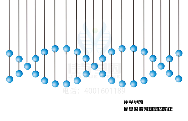【佳學(xué)基因檢測】什么人要做Diamond-Blackfan貧血(先天再生障礙性貧血)基因解碼、<a  data-cke-saved-href=http://www.lag888.cn/tk/jiema/cexujishu/2021/31933.html href=http://www.lag888.cn/tk/jiema/cexujishu/2021/31933.html>基因檢測</a>？