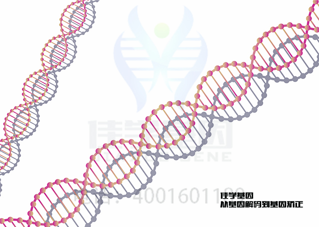 【佳學基因檢測】做Diamond-Blackfan貧血1型基因解碼、<a href=http://www.lag888.cn/tk/jiema/cexujishu/2021/31933.html>基因檢測</a>方便嗎？
