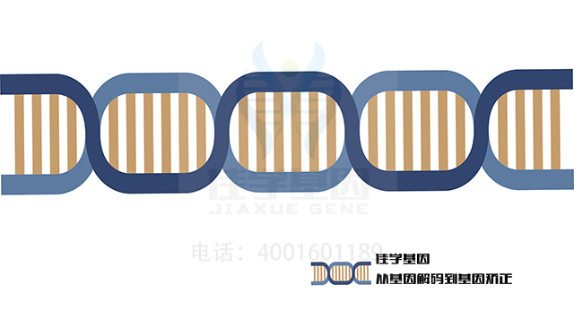 【佳學(xué)基因檢測(cè)】Bethlem肌病1基因解碼、<a href=http://www.lag888.cn/tk/jiema/cexujishu/2021/31933.html>基因檢測(cè)</a>的樣品有區(qū)別嗎？