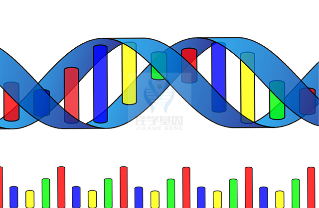 【佳學基因檢測】需要多長時間可以拿氯米帕明敏感性-劑量毒性/ADR基因解碼、<a href=http://www.lag888.cn/tk/jiema/cexujishu/2021/31933.html>基因檢測</a>報告？