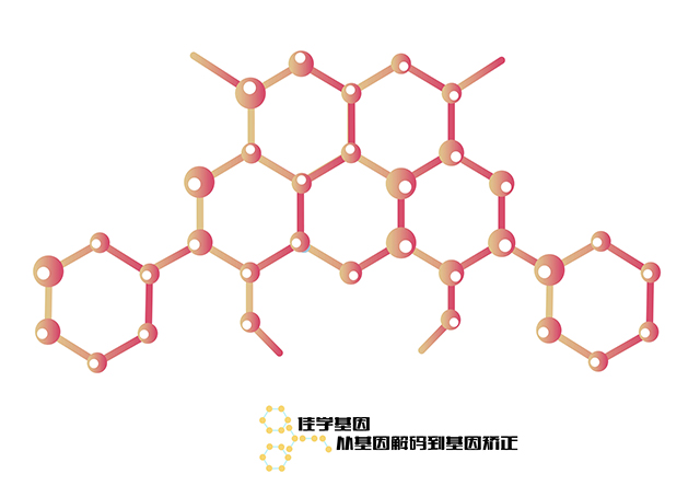 【佳學(xué)基因檢測】胃腫瘤基因解碼、<a href=http://www.lag888.cn/tk/jiema/cexujishu/2021/31933.html>基因檢測</a>的樣品有區(qū)別嗎？