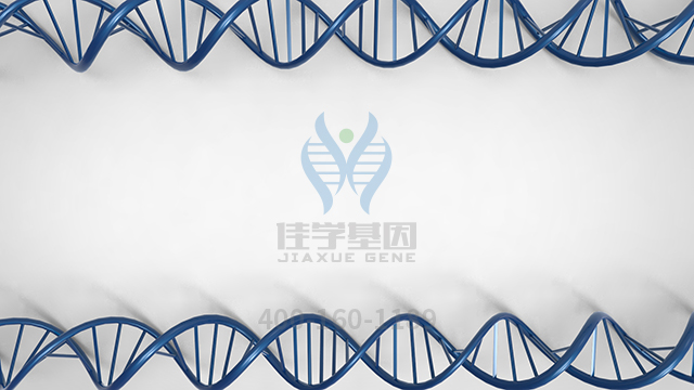 【佳學(xué)基因檢測(cè)】做馬蹄內(nèi)翻足基因解碼、<a href=http://www.lag888.cn/tk/jiema/cexujishu/2021/31933.html>基因檢測(cè)</a>的費(fèi)用是多少？