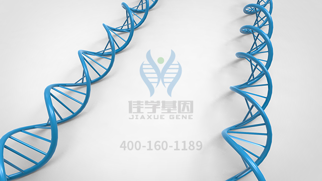 <b>【佳學基因檢測】原發(fā)性限局性皮膚淀粉樣變1型基因解碼、基因檢測報告時間</b>