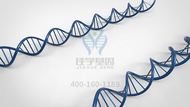 【佳學(xué)基因檢測】什么人要做GLUT1缺陷綜合征基因解碼、<a  data-cke-saved-href=http://www.lag888.cn/tk/jiema/cexujishu/2021/31933.html href=http://www.lag888.cn/tk/jiema/cexujishu/2021/31933.html>基因檢測</a>？