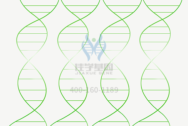【佳學(xué)基因檢測(cè)】如何做鼻咽癌基因解碼、<a href=http://www.lag888.cn/tk/jiema/cexujishu/2021/31933.html>基因檢測(cè)</a>？