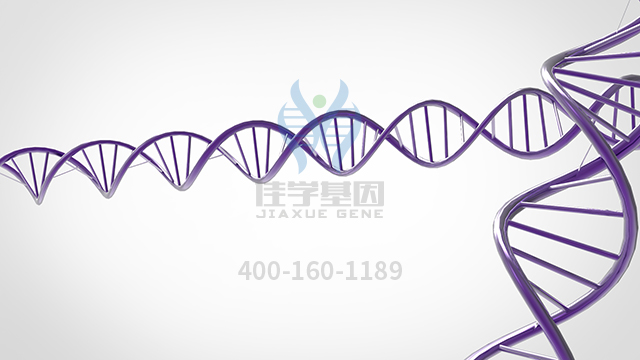 【佳學(xué)基因檢測(cè)】做甲狀腺發(fā)育不全基因解碼、<a href=http://www.lag888.cn/tk/jiema/cexujishu/2021/31933.html>基因檢測(cè)</a>方便嗎？