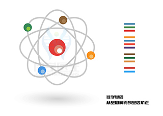 <b>【佳學(xué)基因檢測(cè)】什么人要做CLPB缺陷、3-甲基戊烯二酸尿癥7型基因解碼、基因</b>