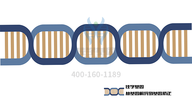 【佳學(xué)基因檢測(cè)】干骺端發(fā)育不良Jansen型基因解碼、<a href=http://www.lag888.cn/tk/jiema/cexujishu/2021/31933.html>基因檢測(cè)</a>的樣品有區(qū)別嗎？