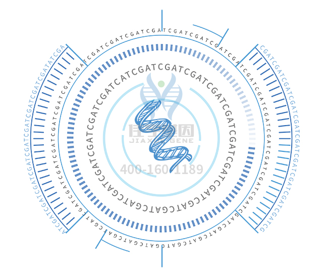 【佳學(xué)基因檢測(cè)】做Bj?rnstad綜合征基因解碼、基因檢測(cè)方便嗎？