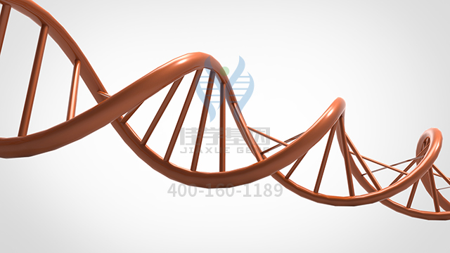 【佳學基因檢測】做胰腺囊腫基因解碼、<a href=http://www.lag888.cn/tk/jiema/cexujishu/2021/31933.html>基因檢測</a>的費用是多少？