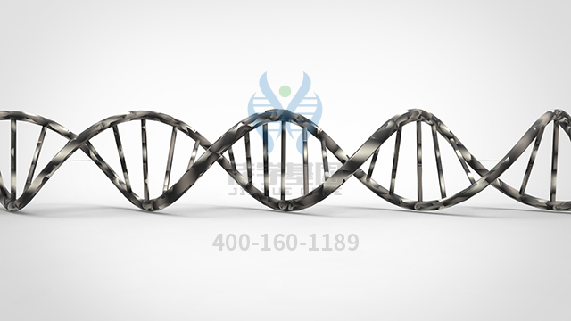 <b>【佳學基因檢測】瞼裂狹小綜合征1型基因解碼、基因檢測的報告有人解讀嗎？</b>