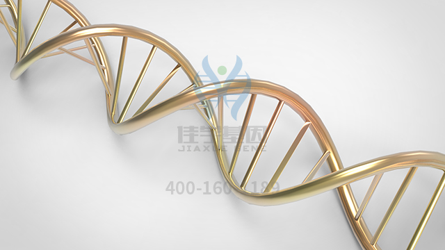 【佳學(xué)基因檢測】做孔源性視網(wǎng)膜脫離常染色體顯性基因解碼、<a href=http://www.lag888.cn/tk/jiema/cexujishu/2021/31933.html>基因檢測</a>的費用是多少？