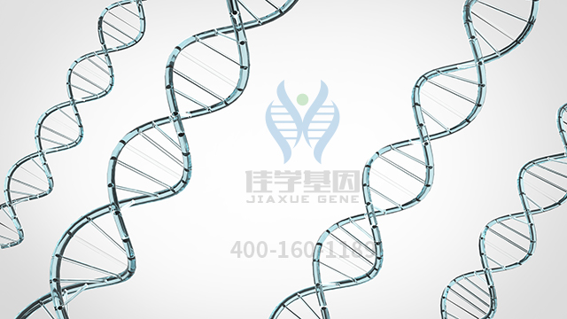 【佳學(xué)基因檢測】做丙型球蛋白血癥非布魯頓型基因解碼、<a  data-cke-saved-href=http://www.lag888.cn/tk/jiema/cexujishu/2021/31933.html href=http://www.lag888.cn/tk/jiema/cexujishu/2021/31933.html>基因檢測</a>采用什么樣品？