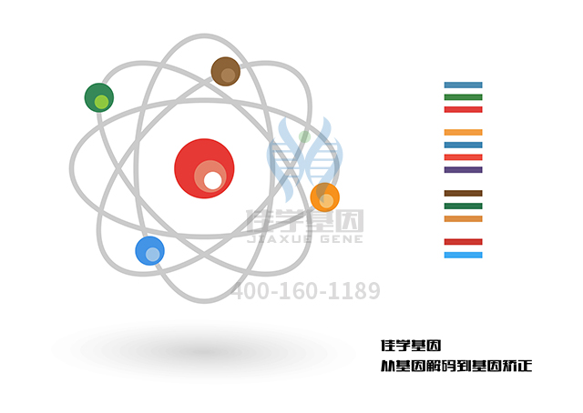 【佳學(xué)基因檢測】需要多長時間可以拿未能成長基因解碼、<a href=http://www.lag888.cn/tk/jiema/cexujishu/2021/31933.html>基因檢測</a>報告？