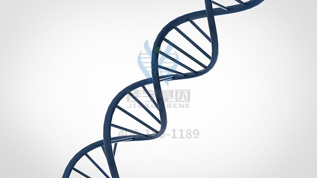 【佳學(xué)基因檢測】做未分化甲狀腺癌基因解碼、<a href=http://www.lag888.cn/tk/jiema/cexujishu/2021/31933.html>基因檢測</a>需要多少錢？
