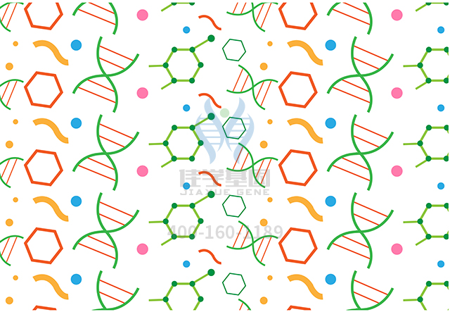 【佳學基因檢測】D-2-羥基戊二酸尿癥基因解碼、<a href=http://www.lag888.cn/tk/jiema/cexujishu/2021/31933.html>基因檢測</a>有什么用？