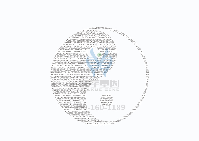【佳學(xué)基因檢測(cè)】做網(wǎng)狀色素皮病基因解碼、<a  data-cke-saved-href=http://www.lag888.cn/tk/jiema/cexujishu/2021/31933.html href=http://www.lag888.cn/tk/jiema/cexujishu/2021/31933.html>基因檢測(cè)</a>需要多長(zhǎng)時(shí)間？