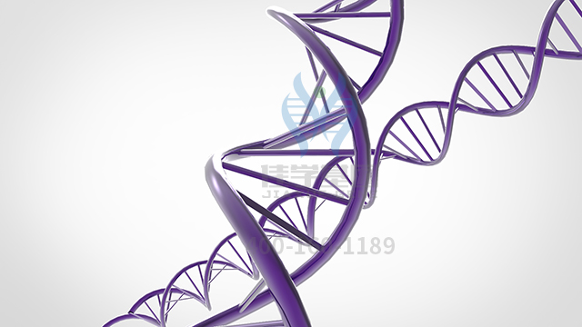 【佳學(xué)基因檢測】如何做甲狀腺激素抵抗全身性抵抗型基因解碼、<a  data-cke-saved-href=http://www.lag888.cn/tk/jiema/cexujishu/2021/31933.html href=http://www.lag888.cn/tk/jiema/cexujishu/2021/31933.html>基因檢測</a>？