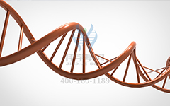 【佳學(xué)基因檢測】怎么做常染色體隱性廣泛性甲狀腺激素抵抗基因解碼、<a href=http://www.lag888.cn/tk/jiema/cexujishu/2021/31933.html>基因檢測</a>?