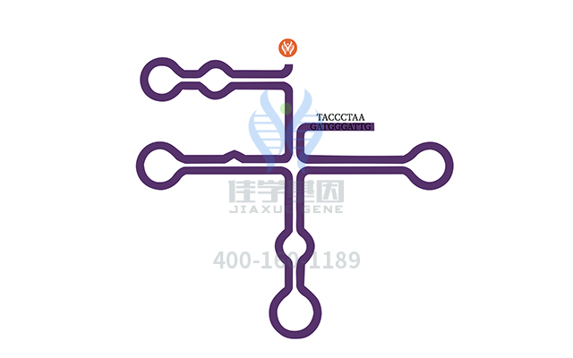 【佳學(xué)基因檢測】什么人要做局部白化病基因解碼、<a  data-cke-saved-href=http://www.lag888.cn/tk/jiema/cexujishu/2021/31933.html href=http://www.lag888.cn/tk/jiema/cexujishu/2021/31933.html>基因檢測</a>？