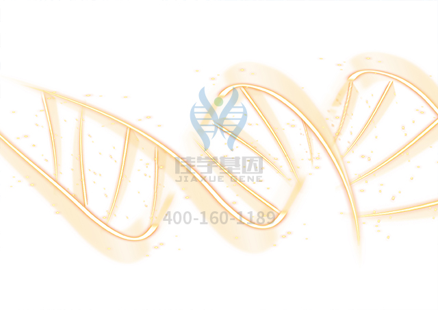 【佳學(xué)基因檢測】怎樣選擇SCIANNA血型系統(tǒng)SC：-12基因解碼、<a href=http://www.lag888.cn/tk/jiema/cexujishu/2021/31933.html>基因檢測</a>？