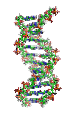 【佳學(xué)基因檢測(cè)】眼皮膚白化病4型基因解碼、<a href=http://www.lag888.cn/tk/jiema/cexujishu/2021/31933.html>基因檢測(cè)</a>的報(bào)告有人解讀嗎？