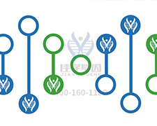 【佳學基因檢測】甲苯磺丁脲響應(yīng)基因解碼、<a href=http://www.lag888.cn/tk/jiema/cexujishu/2021/31933.html>基因檢測</a>怎么預(yù)約解讀？