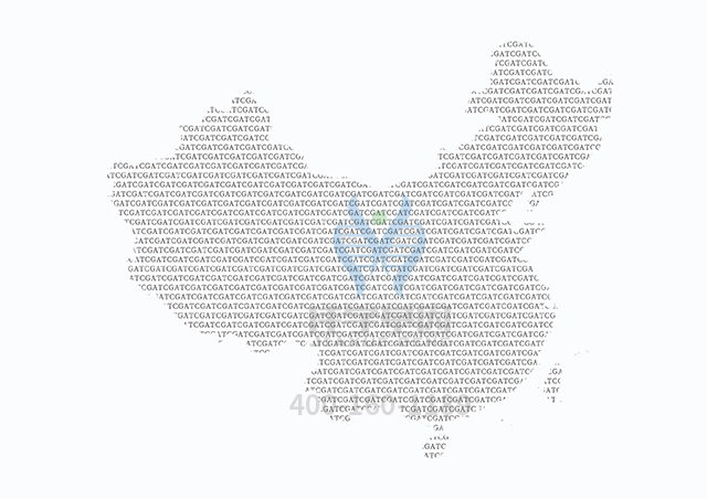 【佳學(xué)基因檢測(cè)】SDHB相關(guān)疾病基因解碼、<a href=http://www.lag888.cn/tk/jiema/cexujishu/2021/31933.html>基因檢測(cè)</a>可以只做基因解碼嗎？
