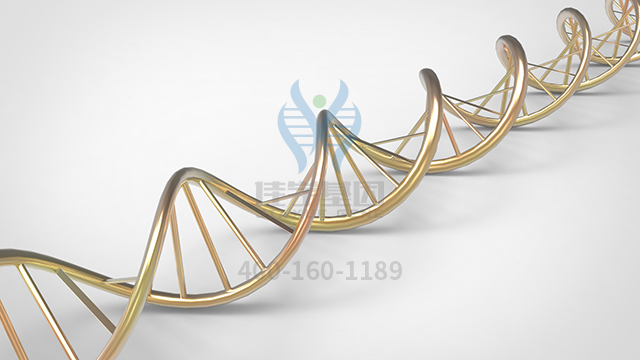 【佳學基因檢測】做先天性短腸綜合征X連鎖基因解碼、<a href=http://www.lag888.cn/tk/jiema/cexujishu/2021/31933.html>基因檢測</a>的費用是多少？