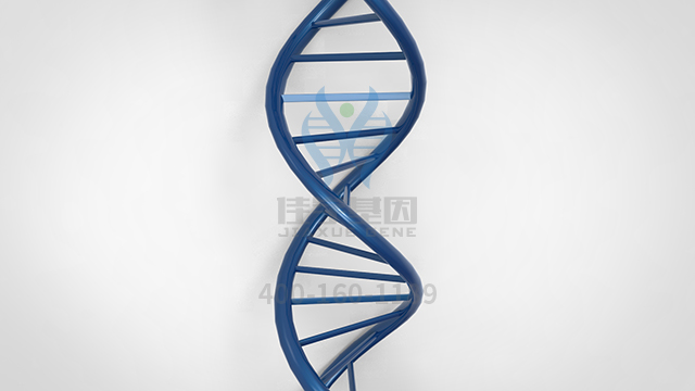【佳學基因檢測】需要多長時間可以拿脂肪代謝障礙基因解碼、<a href=http://www.lag888.cn/tk/jiema/cexujishu/2021/31933.html>基因檢測</a>報告？