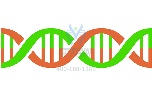 【佳學(xué)基因檢測】先天性全身性脂肪營養(yǎng)不良3型基因解碼、<a href=http://www.lag888.cn/tk/jiema/cexujishu/2021/31933.html>基因檢測</a>可以只做基因解碼嗎？