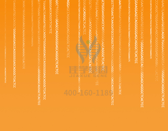 【佳學(xué)基因解碼-<a href=http://www.lag888.cn/tk/jiema/cexujishu/2021/31933.html>基因檢測</a>】這些舉動(dòng)竟讓<font color='red'>脫發(fā)</font>的女孩們重拾自信！