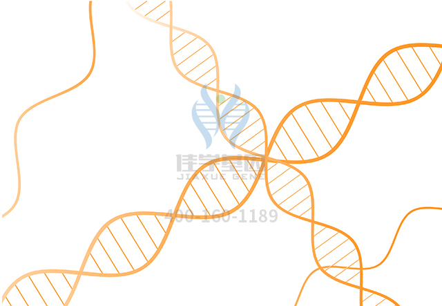 【佳學(xué)基因檢測】做<font color='red'>耳聾</font>先天性心臟缺陷有后胚胎環(huán)基因解碼、<a href=http://www.lag888.cn/tk/jiema/cexujishu/2021/31933.html>基因檢測</a>需要到總部嗎？