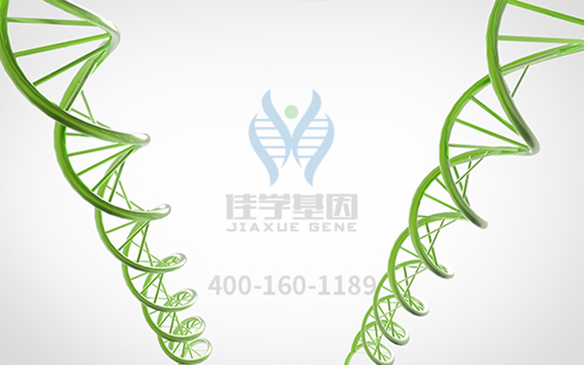【佳學(xué)基因檢測】眼科遺傳病基因解碼<a href=http://www.lag888.cn/tk/jiema/cexujishu/2021/31933.html>基因檢測</a>-<font color='red'>無<font color='red'>虹膜</font></font>癥和Gillespie綜合征