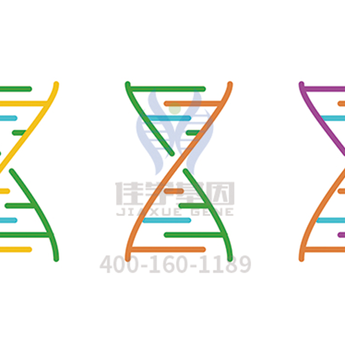 【眼科遺傳病】<font color='red'>BEST</font>病基因解碼、<a href=http://www.lag888.cn/tk/jiema/cexujishu/2021/31933.html>基因檢測</a>